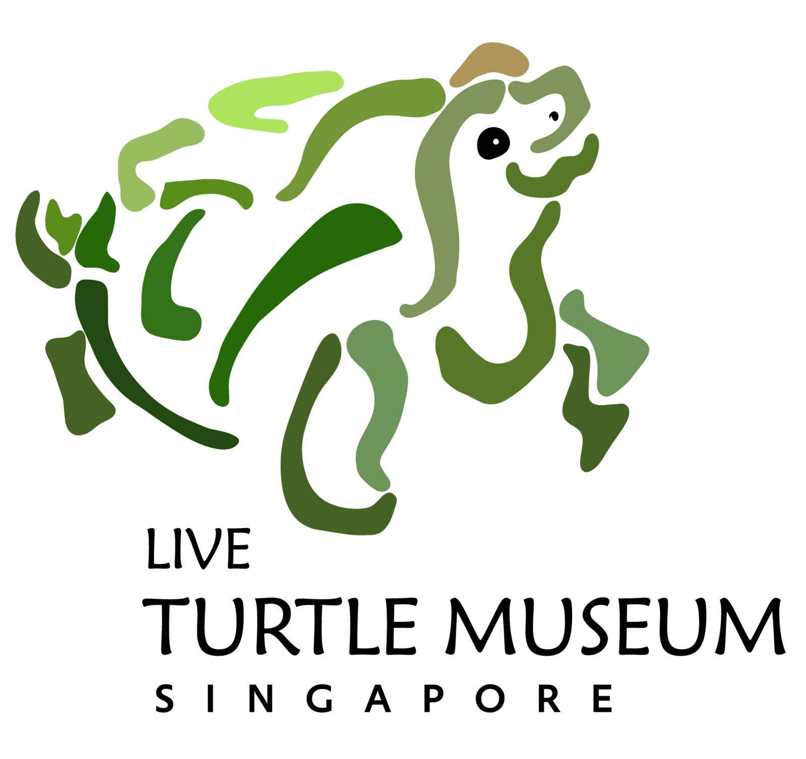Live Turtle Museum Singapore Store